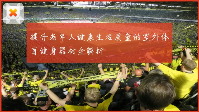 提升老年人健康生活质量的室外体育健身器材全解析