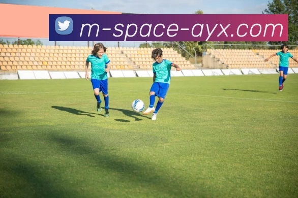 爱游戏平台生态图